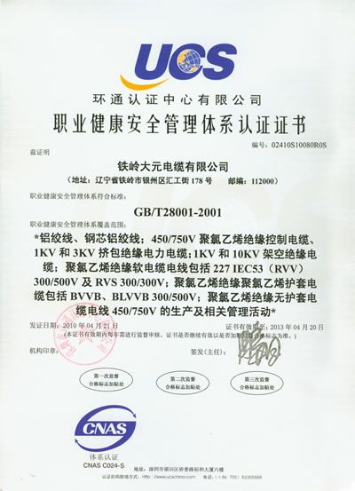 職業(yè)健康安全管理體系認(rèn)證證書(shū)